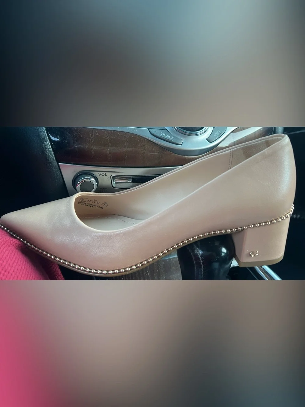 Coach Willa Block Heel Pumps - Nude